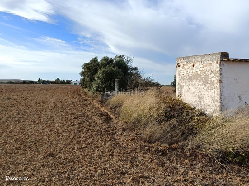 Foto 364d4db4-ebcd-4169-8bf8-3340dd5b5e23. Mas dans Villanueva Golf Puerto Real