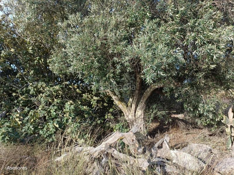 Foto 3dc569ec-a150-4a38-a921-2decc7617981. Mas dans Villanueva Golf Puerto Real