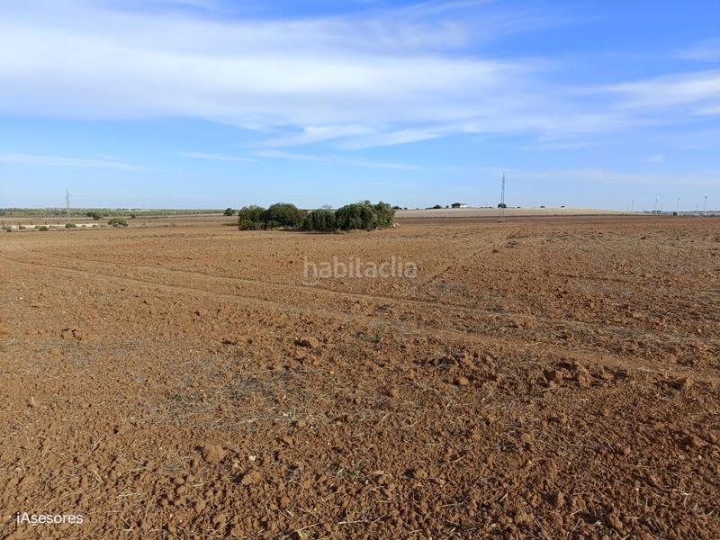 Foto 503ce039-13ab-4d57-a004-73861958c7c1. Mas dans Villanueva Golf Puerto Real