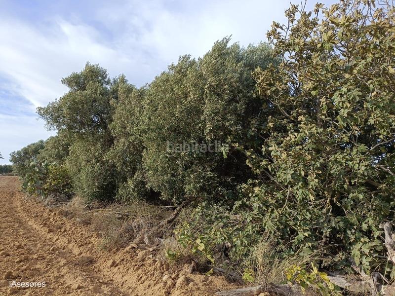 Foto 5c73beb6-933f-4ac0-a977-e828a976b71c. Mas dans Villanueva Golf Puerto Real