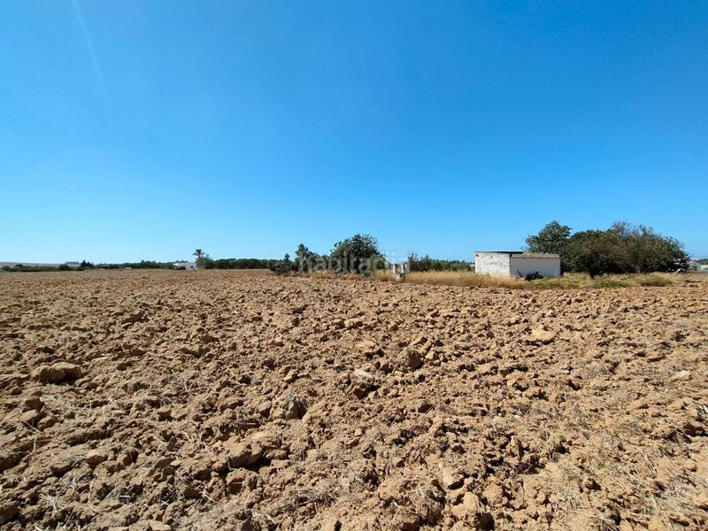 Foto 805028f7-9e89-44d7-868d-1e53b9d264e0. Mas dans Villanueva Golf Puerto Real