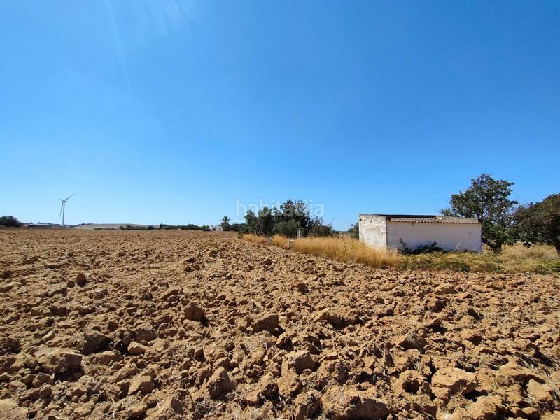 Foto e9b40bc7-c9e2-49ef-b1e9-c2f9b589dd46. Mas dans Villanueva Golf Puerto Real