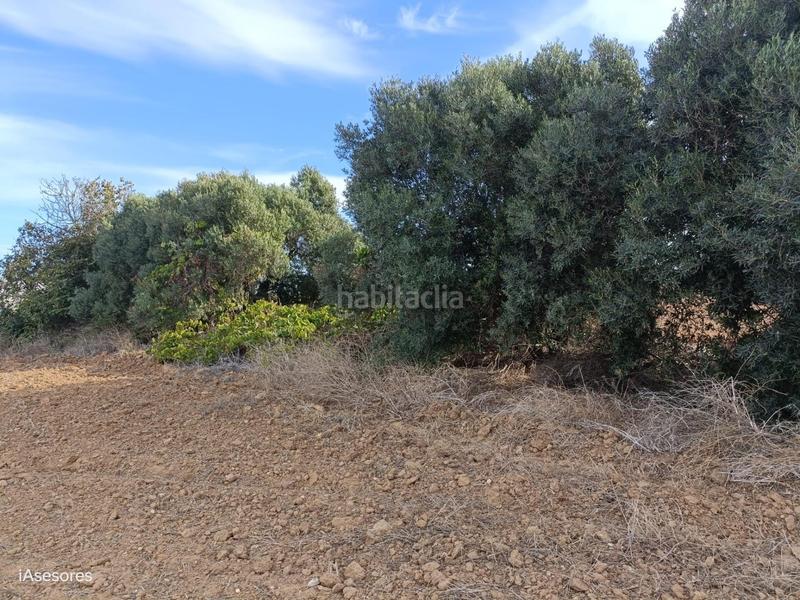 Foto ef551987-3614-4c97-a68f-096988df6bbc. Mas dans Villanueva Golf Puerto Real