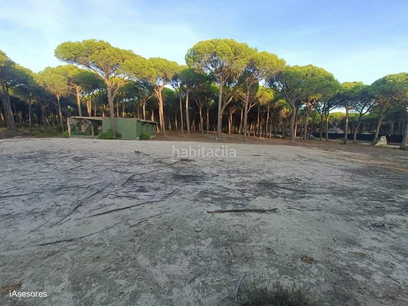 Foto 037c08d8-8889-45da-a5b8-8117a259af01. Maison dans Las Lagunas - Campano Chiclana de la Frontera