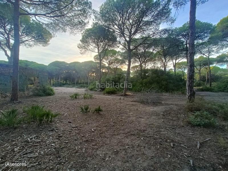 Foto 0e2a2ec0-66ae-4122-8b0c-c41b97335bd2. Maison dans Las Lagunas - Campano Chiclana de la Frontera