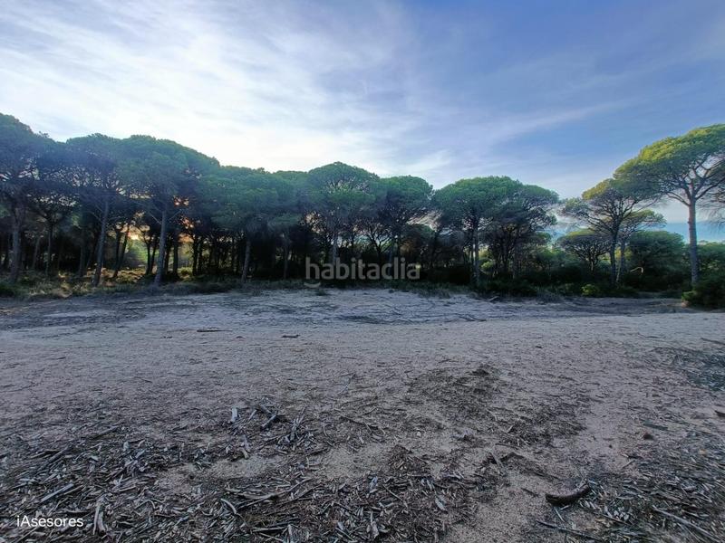 Foto 0f81189a-3321-4a59-b2fd-0a76172d7638. Maison dans Las Lagunas - Campano Chiclana de la Frontera