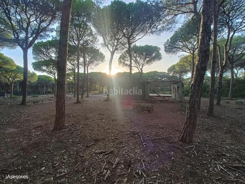 Foto 25313cac-3836-40ca-a53f-fa46f81cea92. Maison dans Las Lagunas - Campano Chiclana de la Frontera