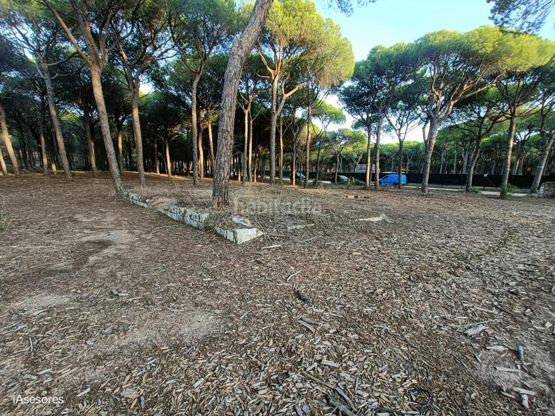 Foto 2f3e1d99-78a0-4130-9629-f63a7e8ec44a. Maison dans Las Lagunas - Campano Chiclana de la Frontera