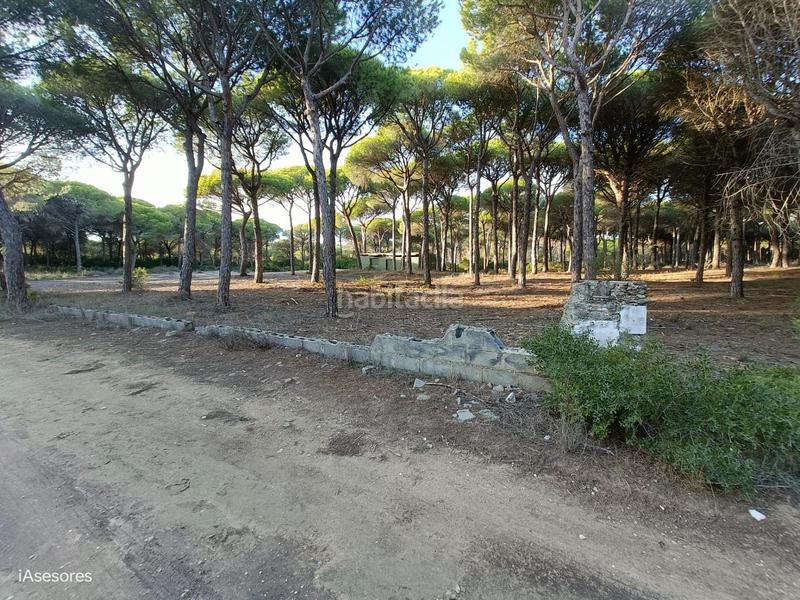 Foto 31474f84-60c2-417b-ad90-2ca9ef8eb829. Maison dans Las Lagunas - Campano Chiclana de la Frontera