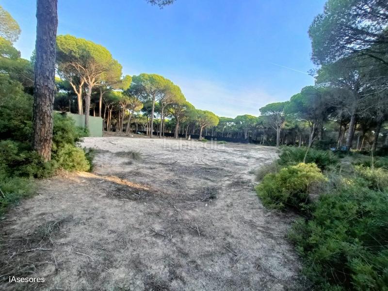 Foto 408e8dc8-a9a0-44ae-ae54-053656e7ca1e. Maison dans Las Lagunas - Campano Chiclana de la Frontera