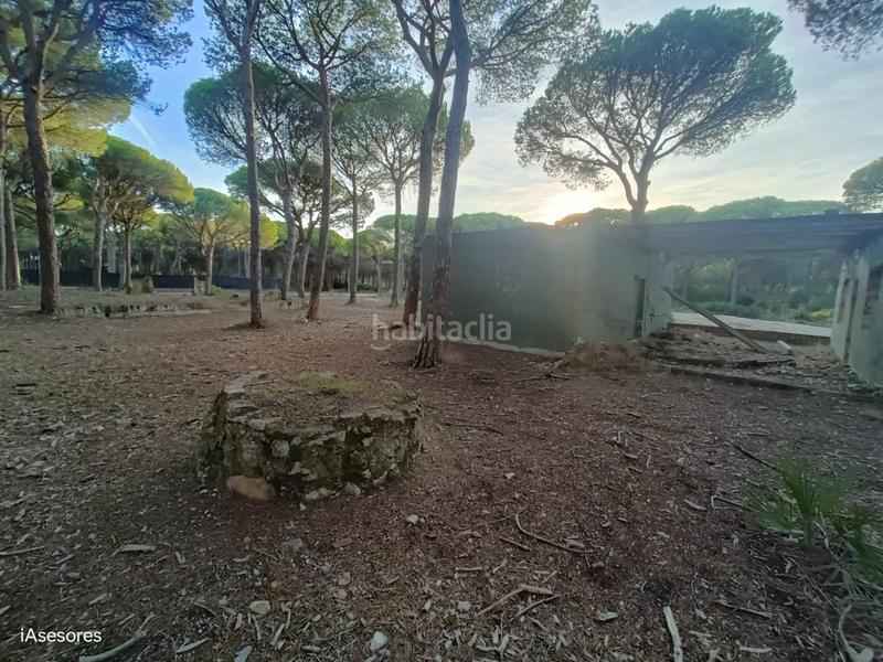 Foto 44f7ceda-f542-440f-8f01-e5ddd954ae2c. Maison dans Las Lagunas - Campano Chiclana de la Frontera