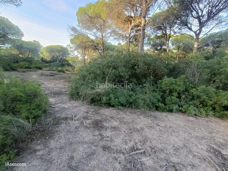 Foto 8938e57a-0284-4a50-be6f-a8269ce76f89. Maison dans Las Lagunas - Campano Chiclana de la Frontera