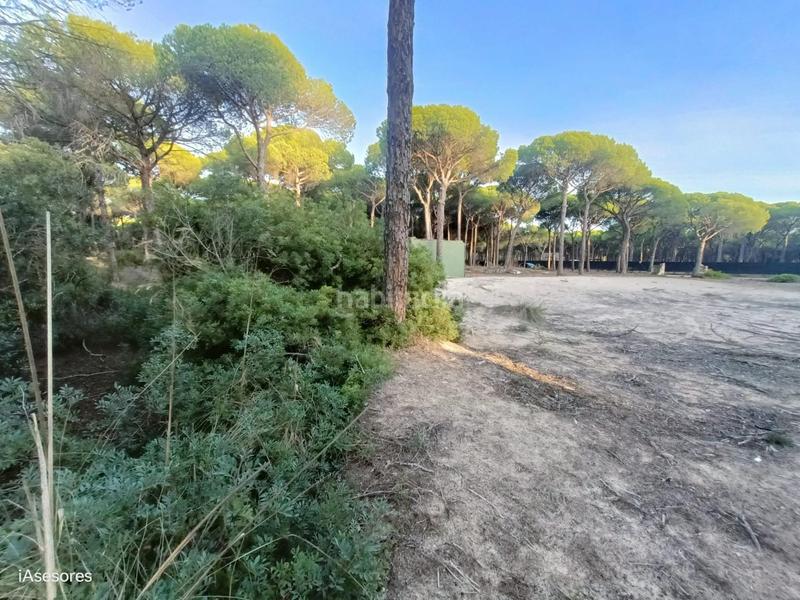 Foto 8f28fdf7-f2f5-41a6-b00c-ae991777d9c2. Maison dans Las Lagunas - Campano Chiclana de la Frontera