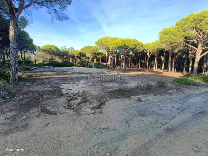 Foto 94c94082-9e62-4f39-9727-8d44c542d4fe. Maison dans Las Lagunas - Campano Chiclana de la Frontera