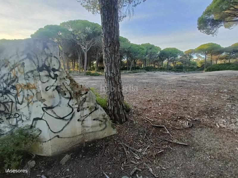 Foto 97600ab7-7fe1-4e9a-a8c3-2498503f71a1. Maison dans Las Lagunas - Campano Chiclana de la Frontera