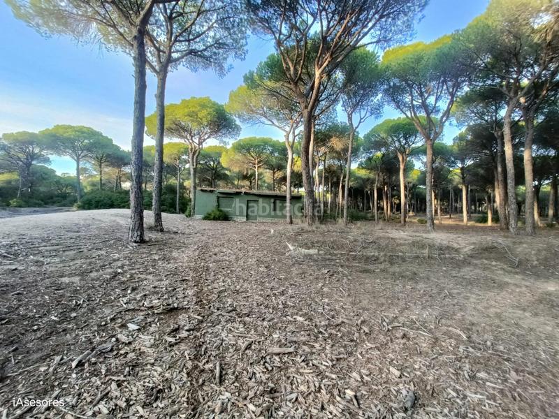 Foto 98514d11-8bfa-43b3-836c-218f99d1fec8. Maison dans Las Lagunas - Campano Chiclana de la Frontera