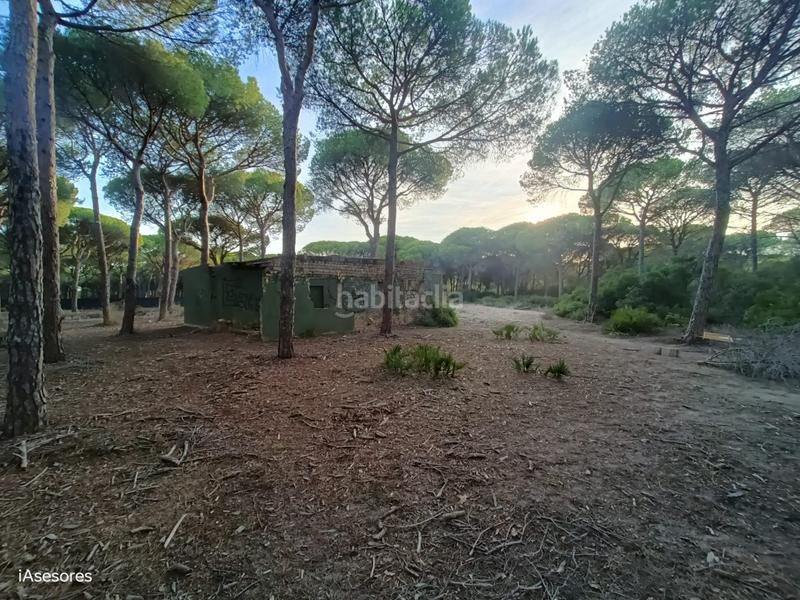 Foto aa68b56c-4f7a-4eac-a216-64e528d38bc4. Maison dans Las Lagunas - Campano Chiclana de la Frontera