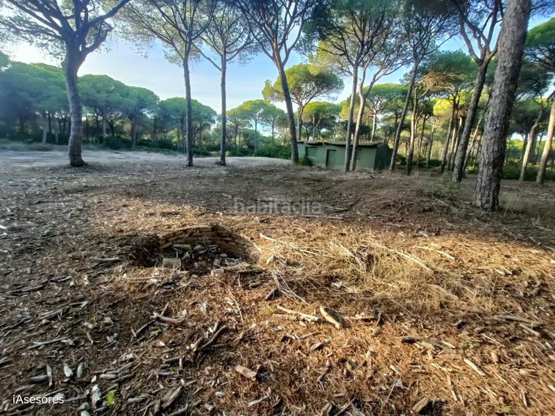 Foto ba694b2f-569b-4f3f-aa6e-7f092596acd9. Maison dans Las Lagunas - Campano Chiclana de la Frontera