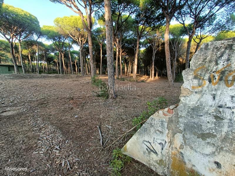 Foto c46baa12-5836-4fe6-bc81-f09c1f59330f. Maison dans Las Lagunas - Campano Chiclana de la Frontera