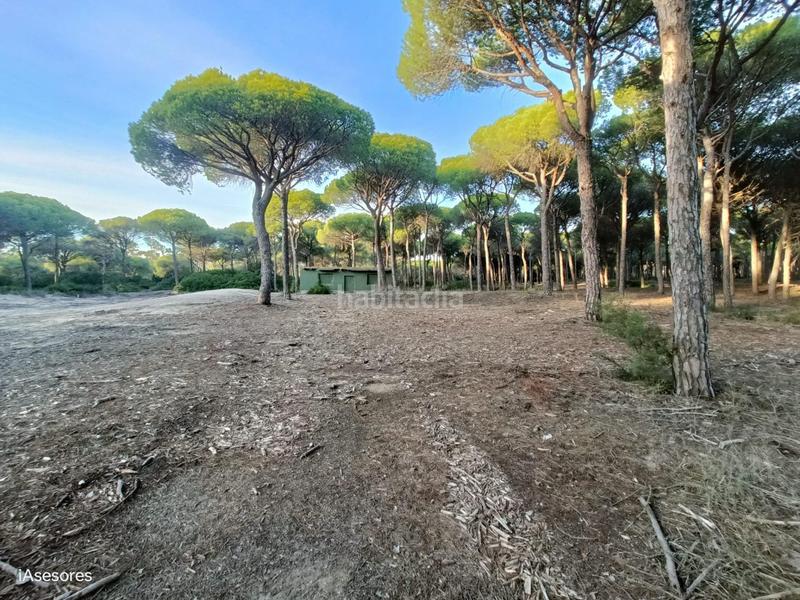 Foto c4e19e90-722a-4033-aefd-e94a9e3adb30. Maison dans Las Lagunas - Campano Chiclana de la Frontera