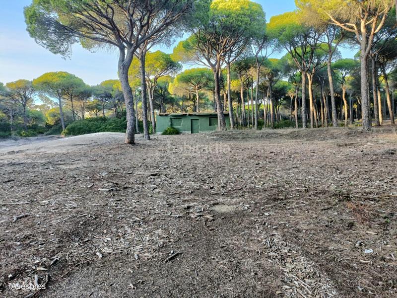 Foto e563fd86-8a74-4362-921e-6213f0530265. Maison dans Las Lagunas - Campano Chiclana de la Frontera