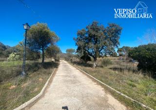 Masia a Vial camino 1. Oportunidad