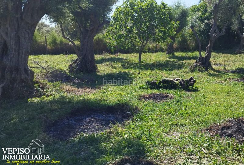 Foto d7f283e6-1e83-465b-b32b-6b5ee839ffb1. Casa amb xemeneia calefacció aparcament a Torralba de Oropesa