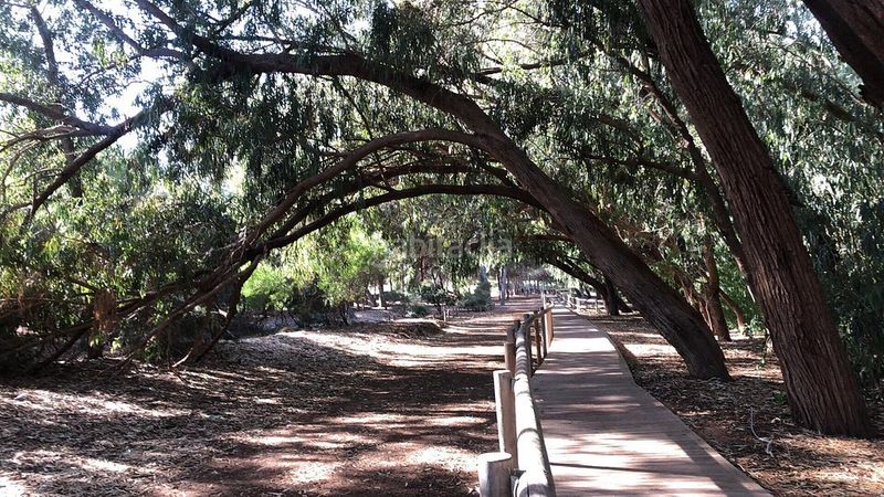 Foto 3f3b5ffa-b8d4-492e-a34a-06e8eca47414. Casa a calle murillo 1 a Zona Carrefour - Urbanizaciones Torrevieja