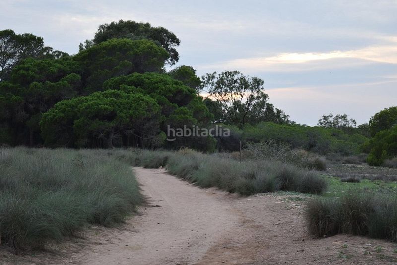 Foto 8d6b3eeb-3fa3-4e81-9f0f-b237c99f7804. Casa a calle murillo 1 a Zona Carrefour - Urbanizaciones Torrevieja