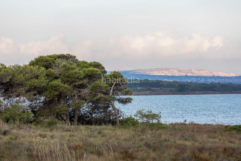 Foto a50df74d-f547-4c7e-b15a-54afaa60c91c. Casa a calle murillo 1 a Zona Carrefour - Urbanizaciones Torrevieja