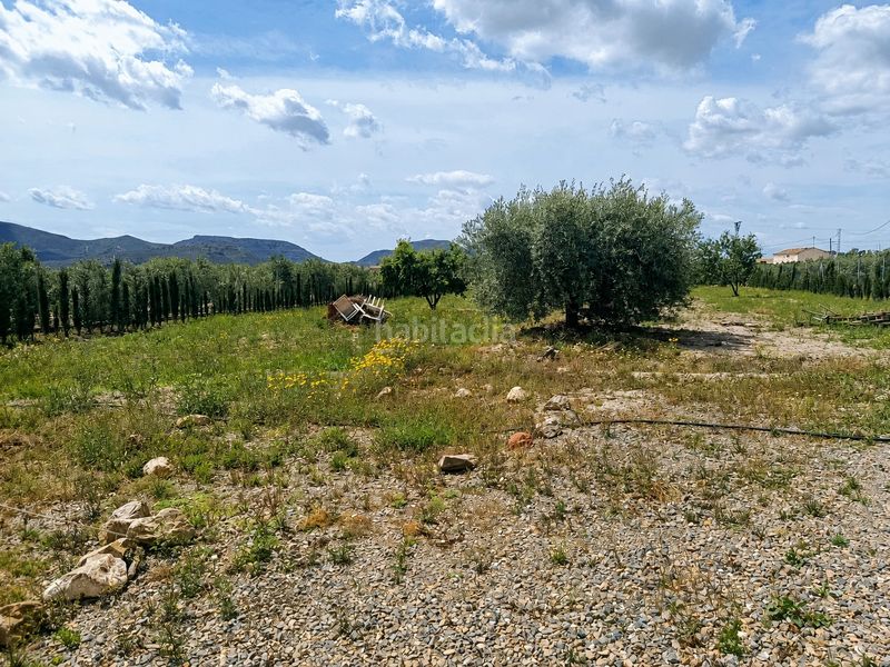 Foto 5c9e0a82-e365-4d8c-9ea2-61ba66310156. Finca rústica a Doña Inés Lorca