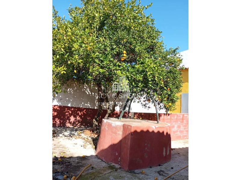 Foto a005e221-9a5a-440c-899b-bf0c9687077b. Haus in calle real 59 in Carolina (La)