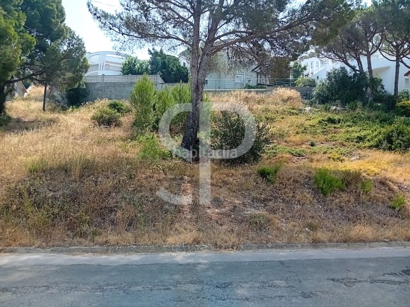 Foto bc206703-d87c-4c8b-a468-b92852a6f2b1. Terreny residencial a Montgó Escala (L´)