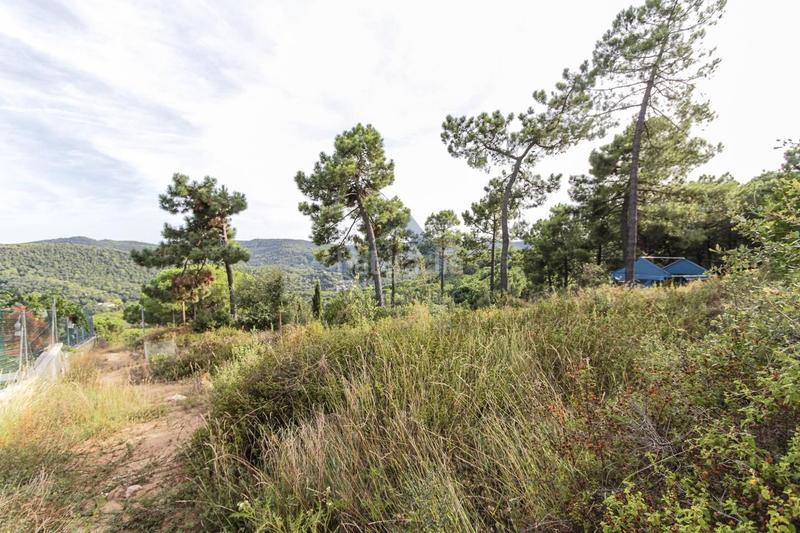 Foto 02c4520d-5df0-4fb1-9a40-f7a9f593e340. Terreno residenziale in Canyamars Dosrius
