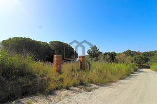 Terreny residencial  Camí de la cornisa. Parcela rústica forestal en mataró de 30.000m2!