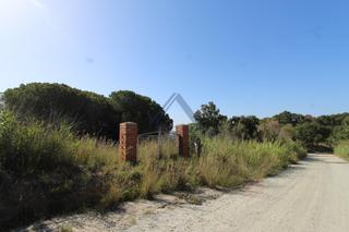 Terrain résidentiel  Camí de la cornisa. Parcela rústica forestal en mataró de 30.000m2!
