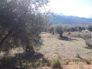Finca rústica  Las heras. Terreno en venta en benecid