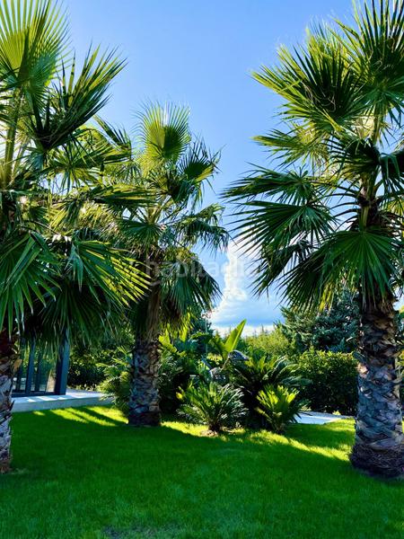 Foto ccd61e78-c831-436e-8c41-6ad6bbacd8be. Haus mit heizung pool in Navata