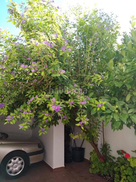 Foto c34fd401-e537-4bea-bbe8-9d9809a5c504. Chalet avec cheminée chauffage parking dans Sierra Engarcerán