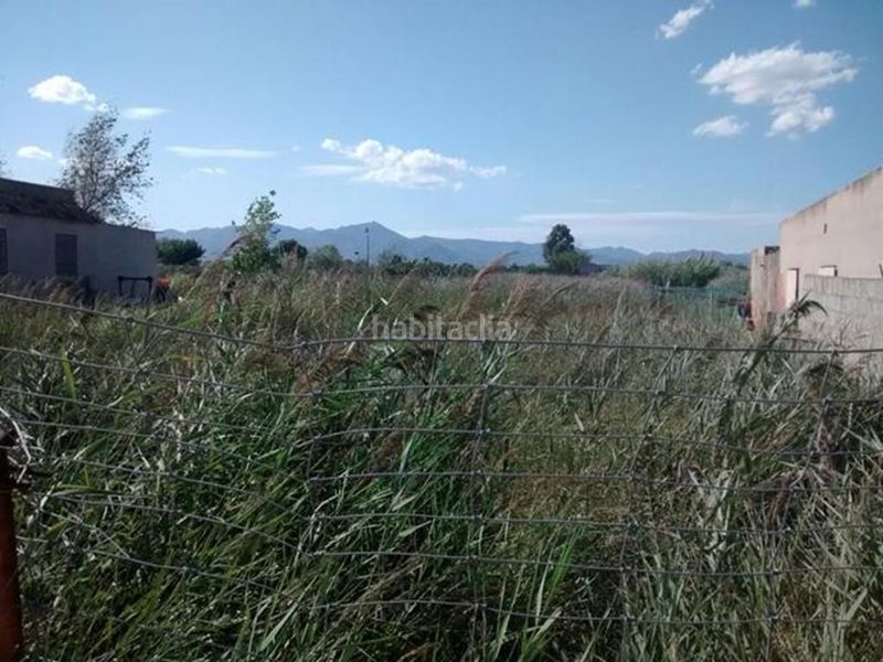 Foto 9f4d63de-cb94-48c6-b0c6-dc5c81eb80a9. Finca rústica a Nules