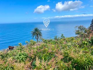 Rural plot  General. Finca con producci�n de mangas y las mejores vistas de la gomera