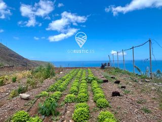 Landgut  General. Finca con producci�n de mangas y las mejores vistas de la gomera