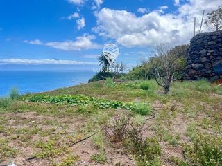Finca rústica  General. Finca con producción de mangas y las mejores vistas de la gomera