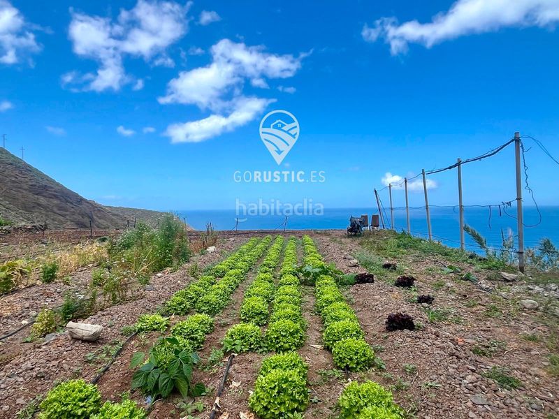 Foto 4dd993d9-f3c1-4ccb-b251-07243271731f. Finca rústica a Agulo