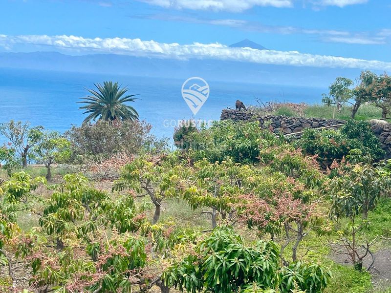 Foto a46fb267-1593-451a-bdb3-bc89bd97b987. Finca rústica a Agulo
