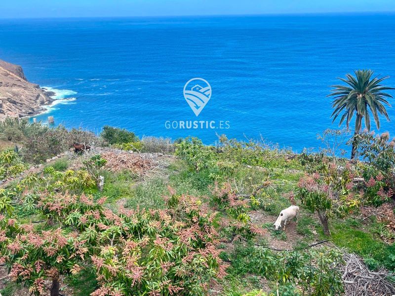 Foto d5d624ff-f848-463a-8c88-f0c2b6816563. Finca rústica a Agulo