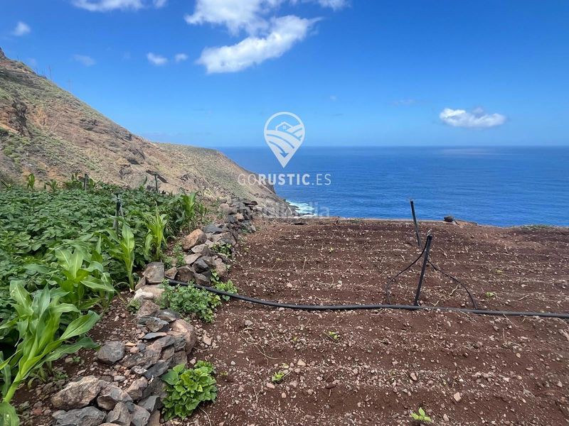 Foto e94af8c7-56af-4027-919c-02927490d283. Finca rústica a Agulo