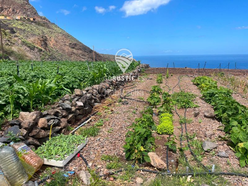 Foto fd1c2690-65a4-492c-a8d0-d2857291d510. Finca rústica a Agulo