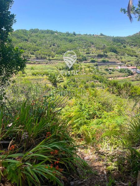 Foto 6da5c0e9-d358-414e-86ce-ad2e1a4fee1c. Finca rústica a Agulo