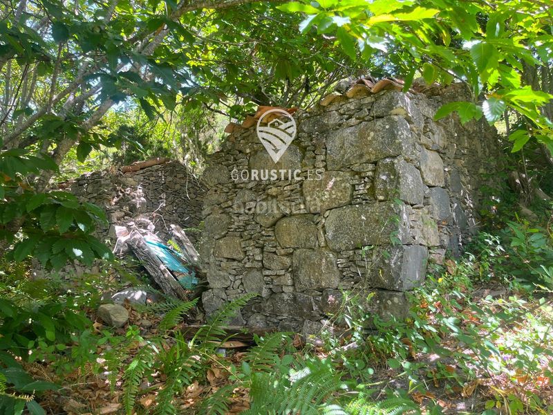 Foto 9d8ccff7-c382-454c-bccd-beb19335e56c. Finca rústica a Agulo